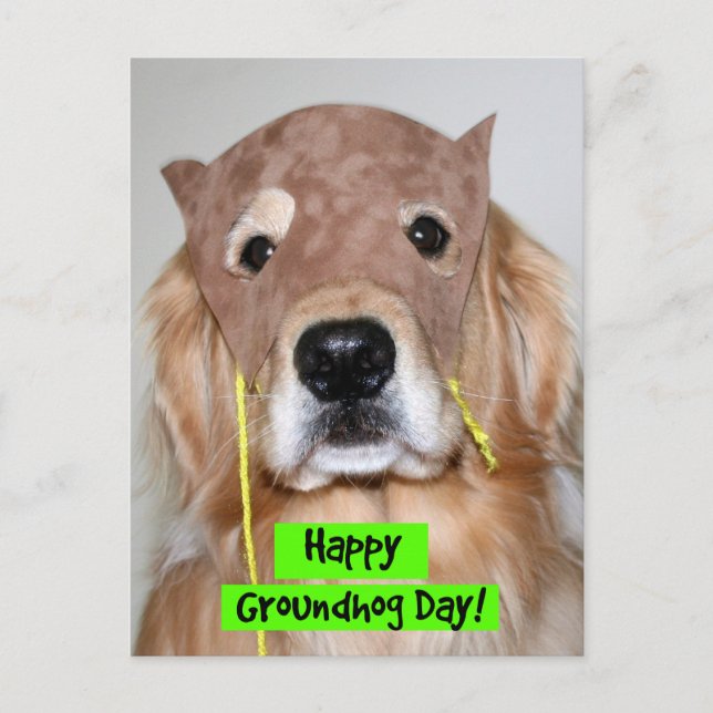 Golden Retriever Groundhog Day Postcard (Front)