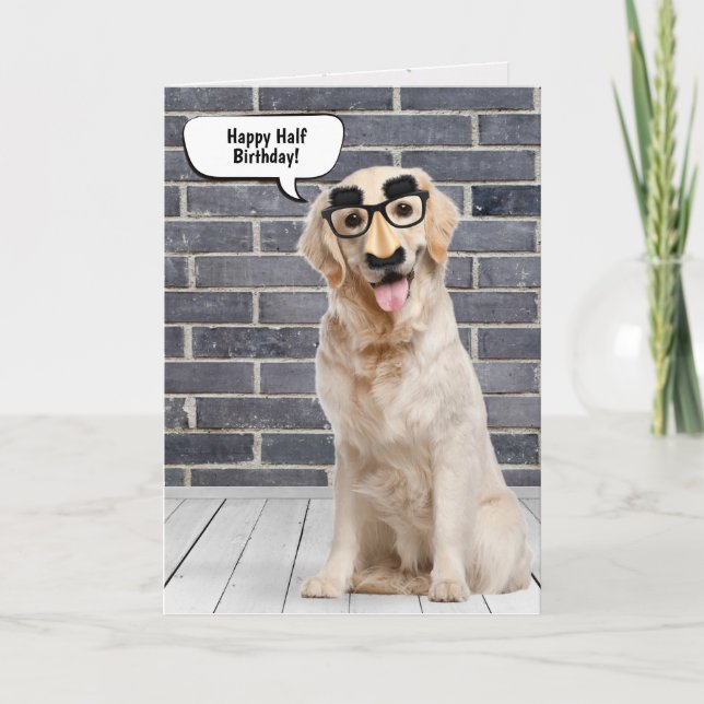 Golden Retriever Half Birthday Humour Card (Front)