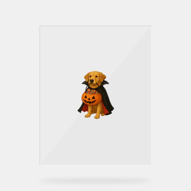 Golden Retriever Halloween Dog with Pumpkin Candy  Acrylic Sign (Front)
