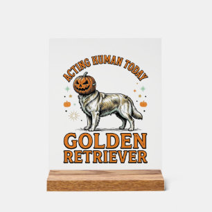 Golden Retriever Halloween Pumpkin Dog Costume Shi Acrylic Sign