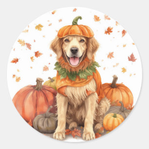 Golden Retriever Halloween Pumpkin Fall  Classic Round Sticker