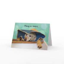 Golden Retriever Hang in there Get Well