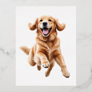 Golden Retriever Happy Playful Fun Jumping In Air Foil Holiday Postcard