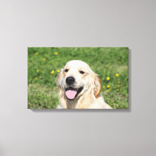 Golden Retriever Headshot 1 Canvas Print
