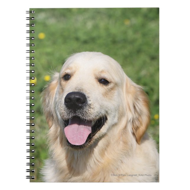 Golden Retriever Headshot 1 Notebook (Front)
