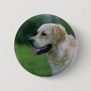 Golden Retriever Headshot 2 2 2 Inch Round Button