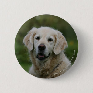 Golden Retriever Headshot 2 2 Inch Round Button