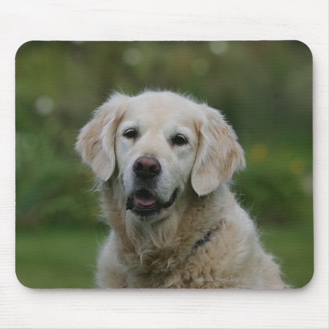 Golden Retriever Headshot 2 Mouse Pad (Front)