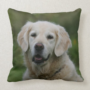 Golden Retriever Headshot 2 Throw Pillow