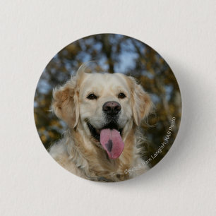 Golden Retriever Headshot 3 2 Inch Round Button