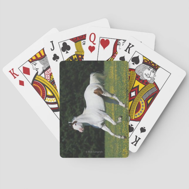 Golden Retriever Headshot 3 Deck Of C - Customized Playing Cards (Back)