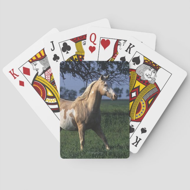 Golden Retriever Headshot 3 Deck Of C - Customized Playing Cards (Back)