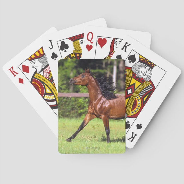 Golden Retriever Headshot 3 Deck Of C - Customized Playing Cards (Back)