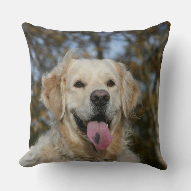 Golden Retriever Headshot 3 Throw Pillow (Front)
