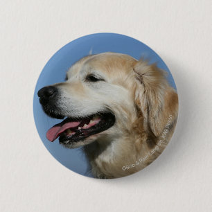 Golden Retriever Headshot 4 2 Inch Round Button
