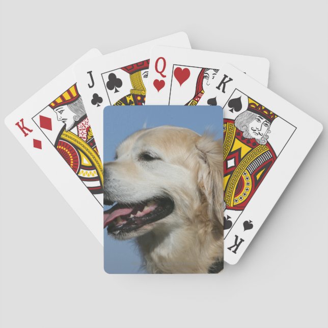 Golden Retriever Headshot 4 Playing Cards (Back)