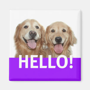 Golden Retriever Hello Magnet
