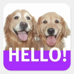 Golden Retriever Hello Square Sticker