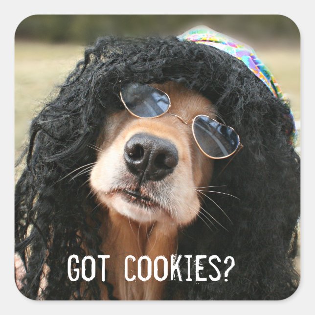 Golden Retriever Hippie Got Cookies Square Sticker (Front)