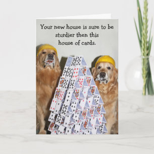Golden Retriever House of Cards New Home