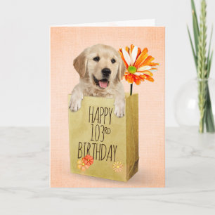 Golden Retriever in 103rd Birthday Bag Card