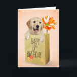 Golden Retriever in 18th Birthday Bag   Card<br><div class="desc">Cute golden retriever in a generic brown paper bag with orange gerbera daisy for 18th birthday.
Text/age can be edited.</div>