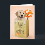 Golden Retriever in 18th Birthday Bag   Card<br><div class="desc">Cute golden retriever in a generic brown paper bag with orange gerbera daisy for 18th birthday.
Text/age can be edited.</div>