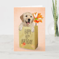 Golden Retriever in 40th Birthday Bag 