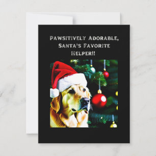 Golden retriever in a Santa hat. Holiday Card