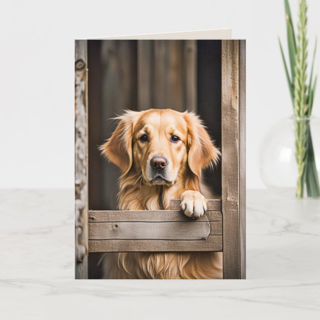 Golden Retriever In Barn Door For Birthday Card (Front)