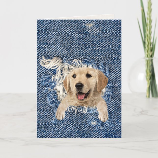 golden retriever in blue denim frayed hole card (Front)