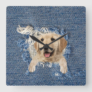 Golden Retriever In Blue Jean Hole Square Wall Clock