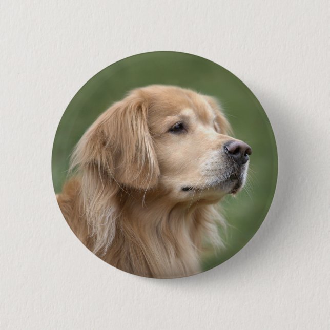 Golden Retriever in Closeup 2 Inch Round Button (Front)