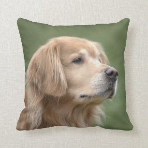 Golden Retriever in CloseUp Throw Pillow