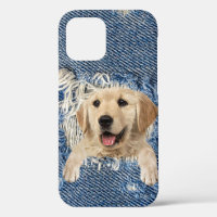 Golden Retriever in Denim Hole