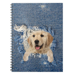 Golden Retriever in Denim Hole Notebook