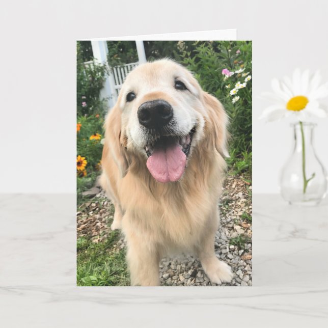 Golden Retriever in Flower Garden Thinking of You Card (Small Plant)