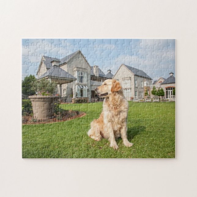 Golden Retriever in Garden Jigsaw Puzzle (Horizontal)