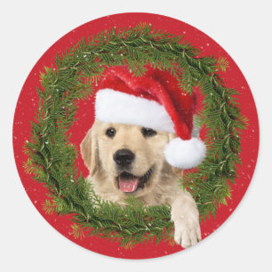 Golden Retriever in holiday wreath Classic Round Sticker