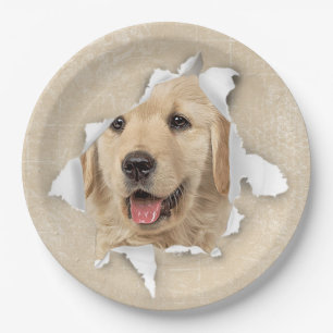 Golden Retriever in Paper Hole Paper Plate