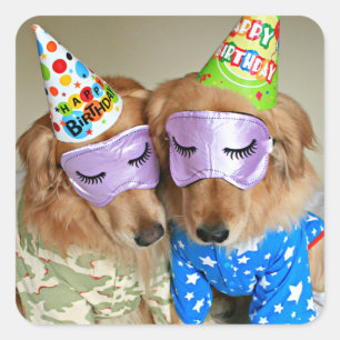 Golden Retriever in Pyjamas Birthday Square Sticker