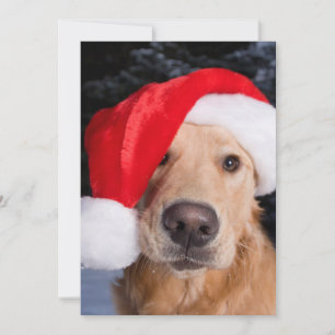 Golden Retriever in Santa Hat Holiday Card