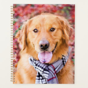 Golden Retriever In Scarf Planner