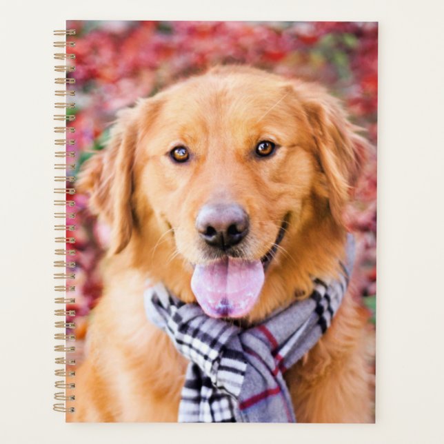 Golden Retriever In Scarf Planner (Front)