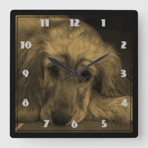 Golden Retriever in Sepia Tones Square Wall Clock
