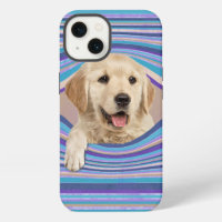 Golden Retriever In Striped Hole
