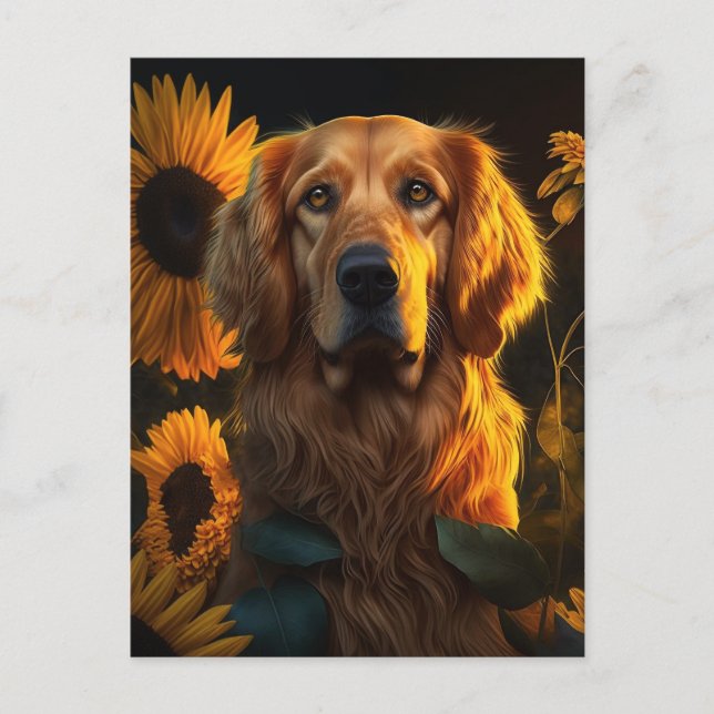 Golden Retriever in Sunflower Field - Postcard (Front)