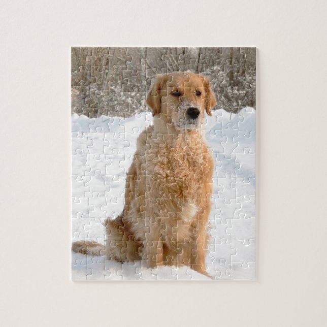 Golden Retriever in the Snow Jigsaw Puzzle (Vertical)