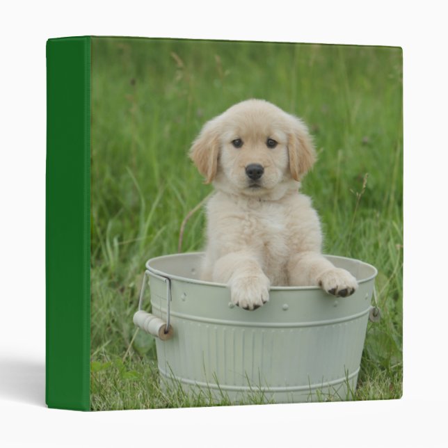 Golden Retriever In Wash Basin Binder (Front/Spine)
