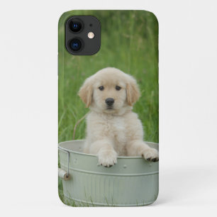 Golden Retriever In Wash Basin iPhone 11 Case